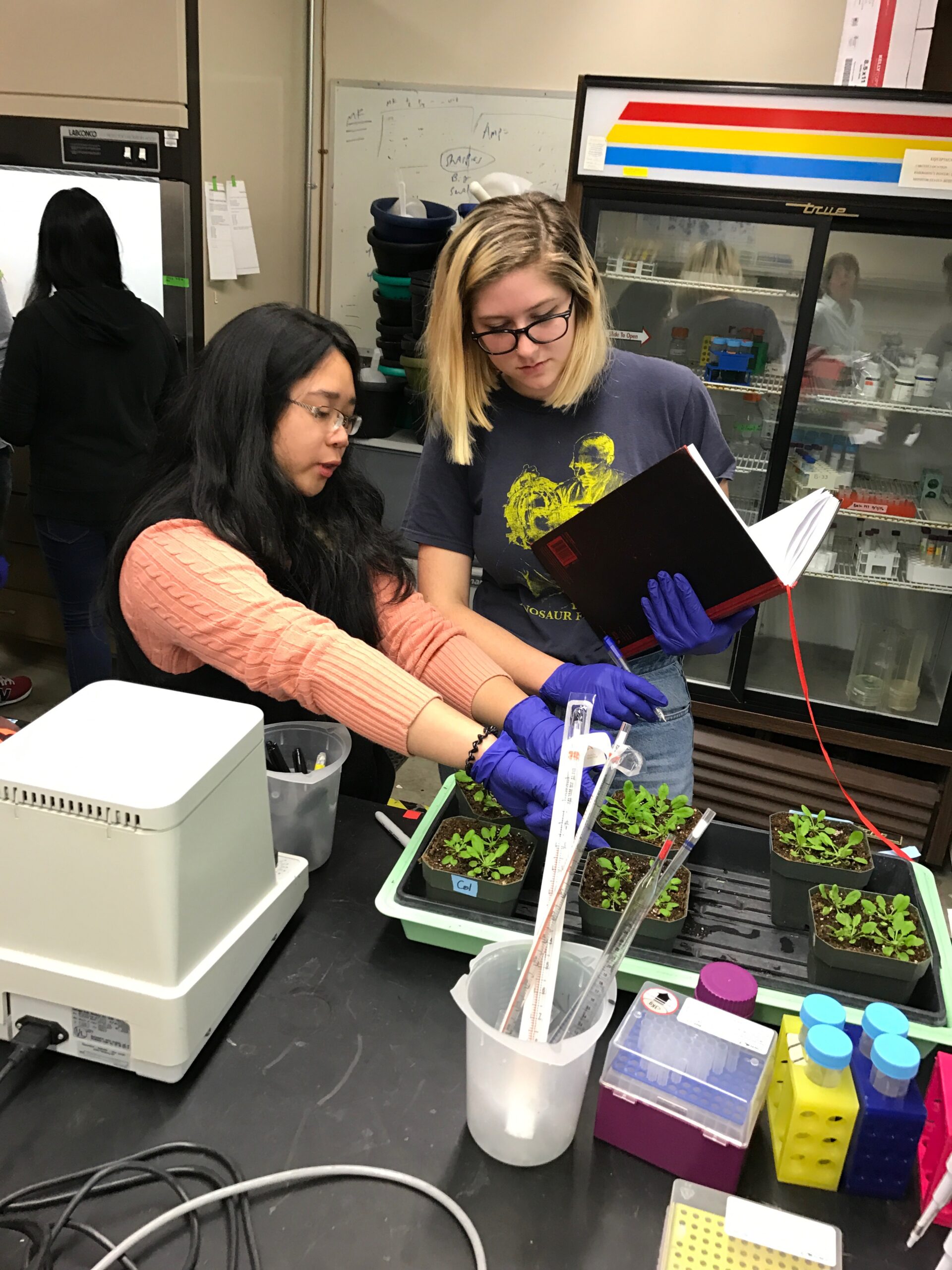 Two working in lab with plants